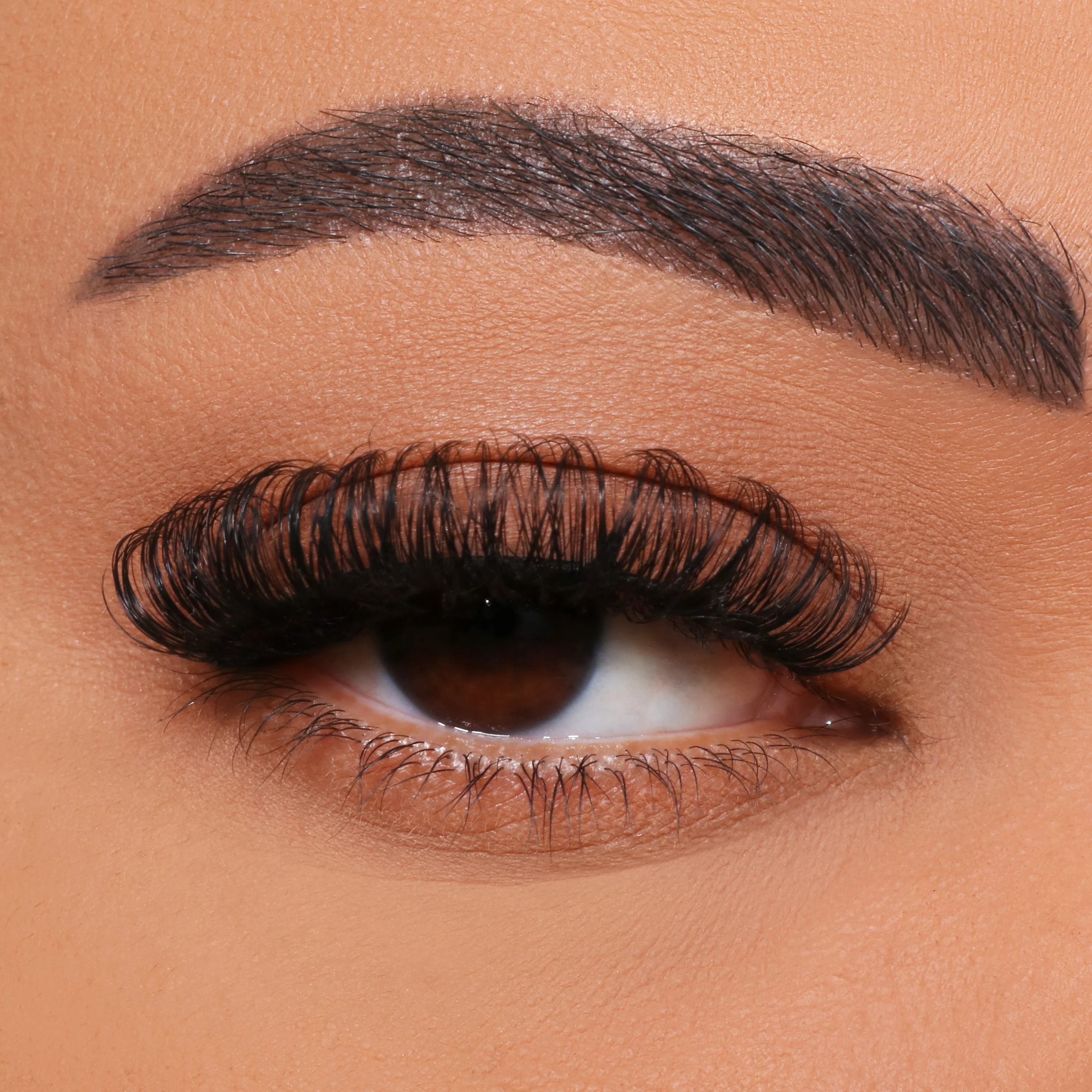 כיצד לשתול ריסים מרובי פרחים DIY?